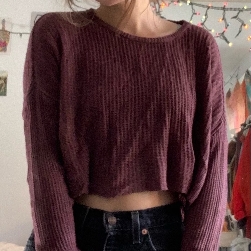 cropped brandy melville sweater